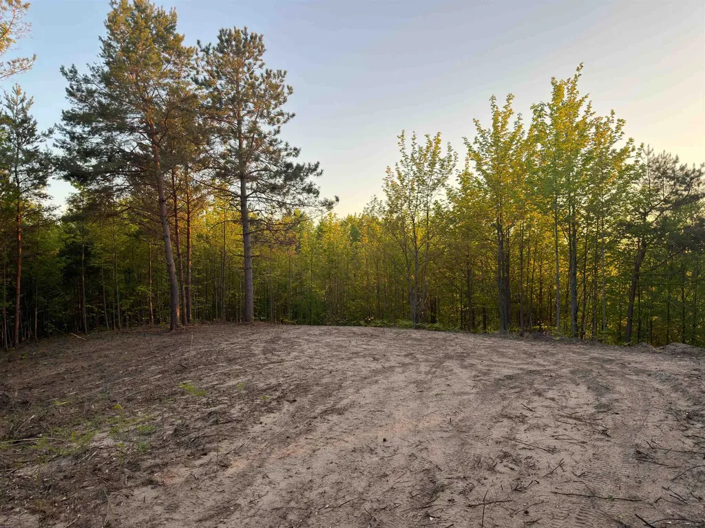 3779 Scholl Road Mancelona Township MI 49659