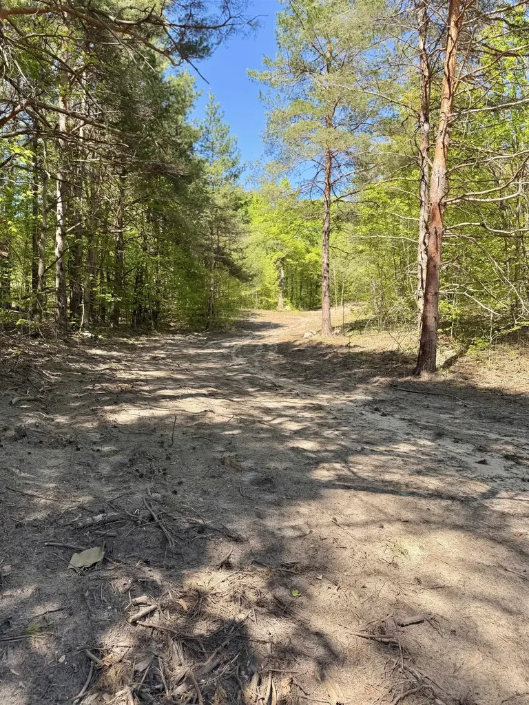 3779 Scholl Road Mancelona Township MI 49659