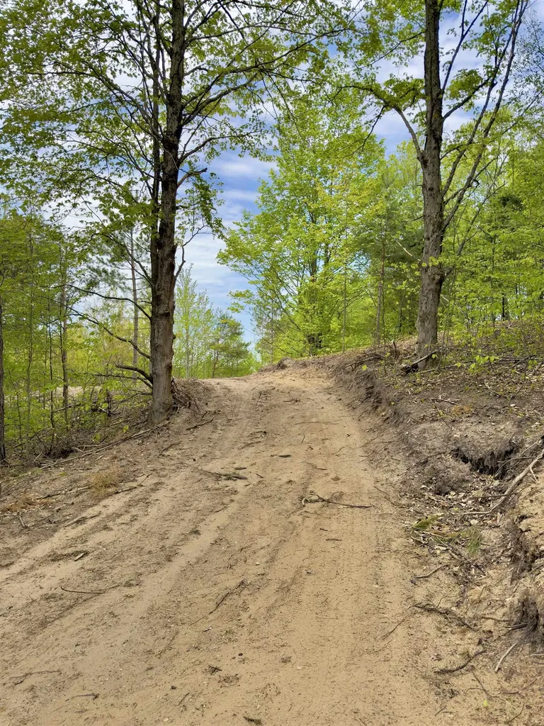 3779 Scholl Road Mancelona Township MI 49659