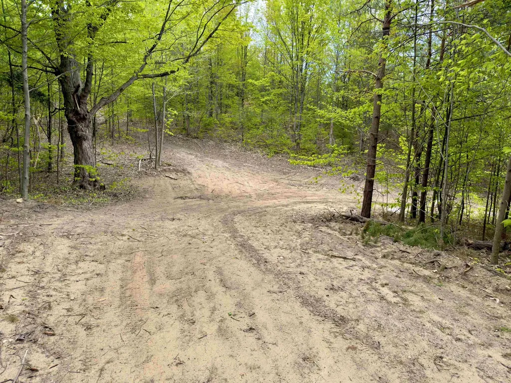 3779 Scholl Road Mancelona Township MI 49659