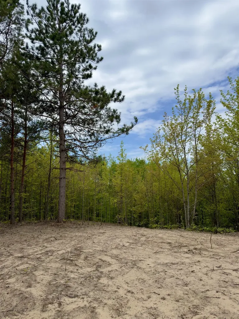 3779 Scholl Road Mancelona Township MI 49659
