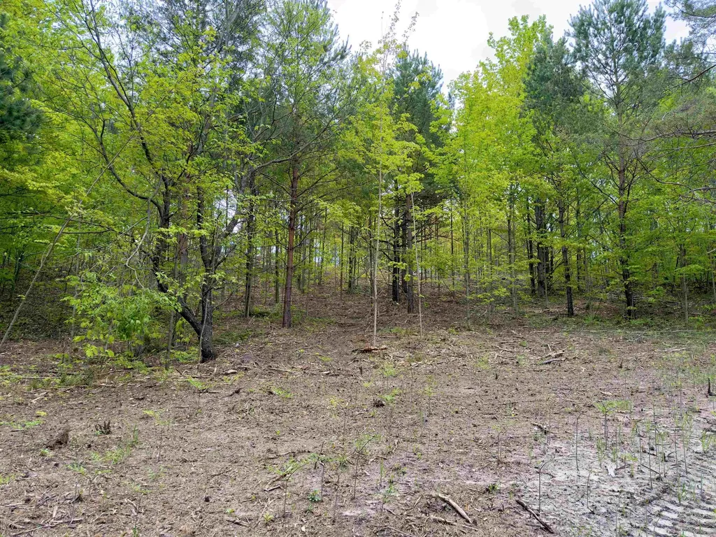 3779 Scholl Road Mancelona Township MI 49659