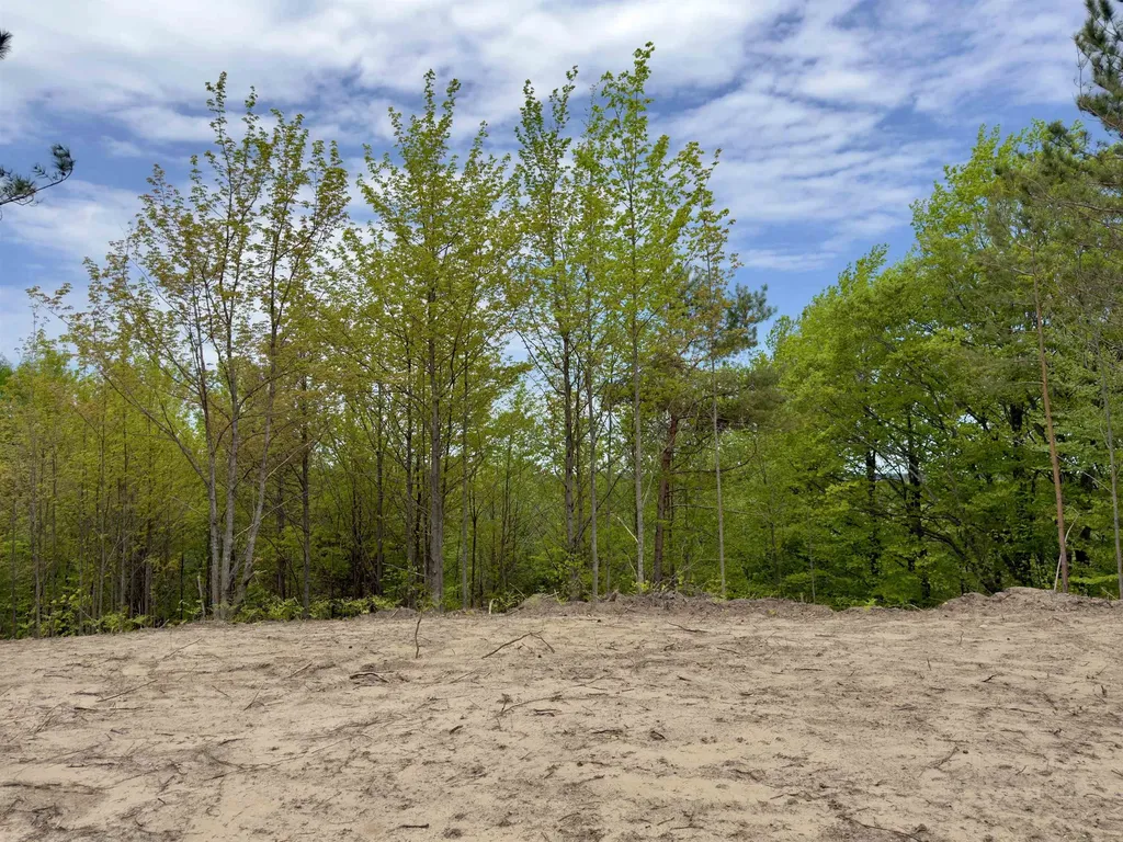 3779 Scholl Road Mancelona Township MI 49659