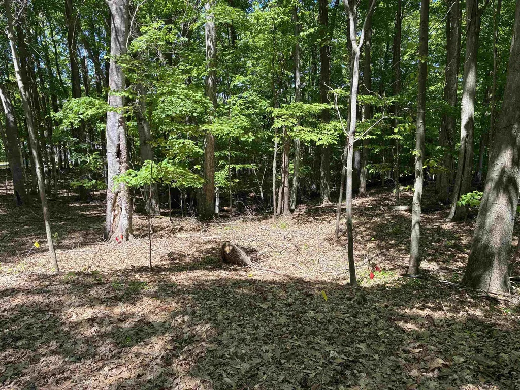 Highland View Drive Milton Township MI 49676