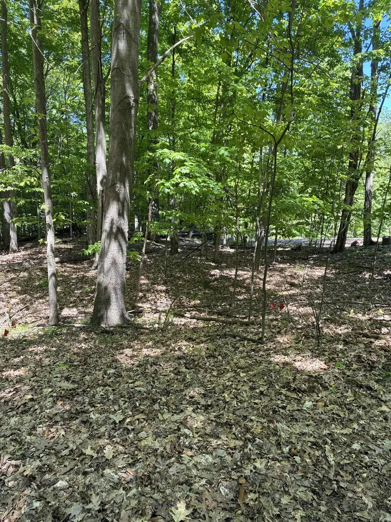 Highland View Drive Milton Township MI 49676