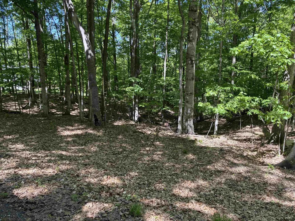 Highland View Drive Milton Township MI 49676