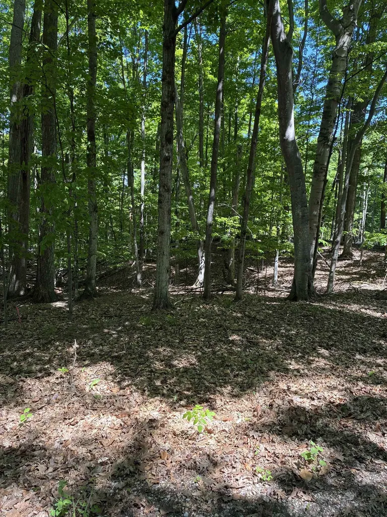 Highland View Drive Milton Township MI 49676