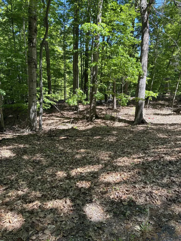 Highland View Drive Milton Township MI 49676