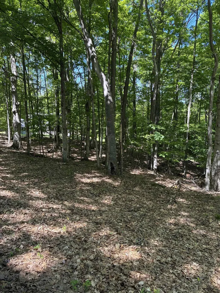 Highland View Drive Milton Township MI 49676