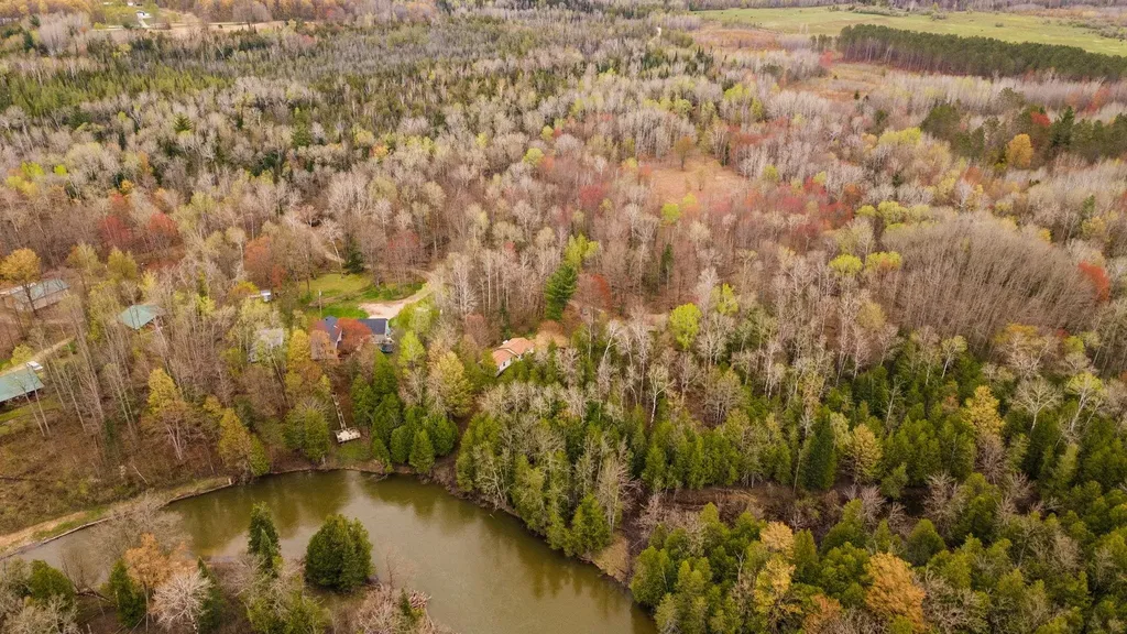 11012 N 31 Road Greenwood Township MI 49649