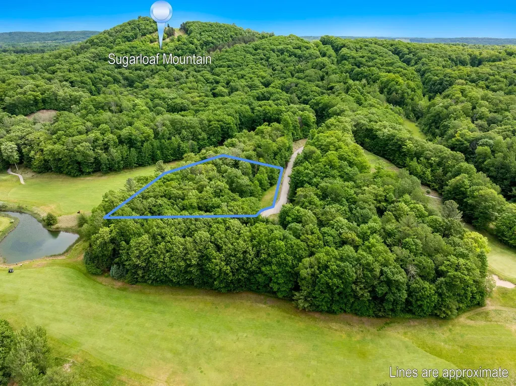 8 S Club Drive Cleveland Township MI 49621