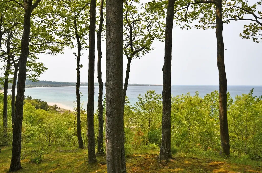 35 Ship Watch Glen Arbor Township MI 49636