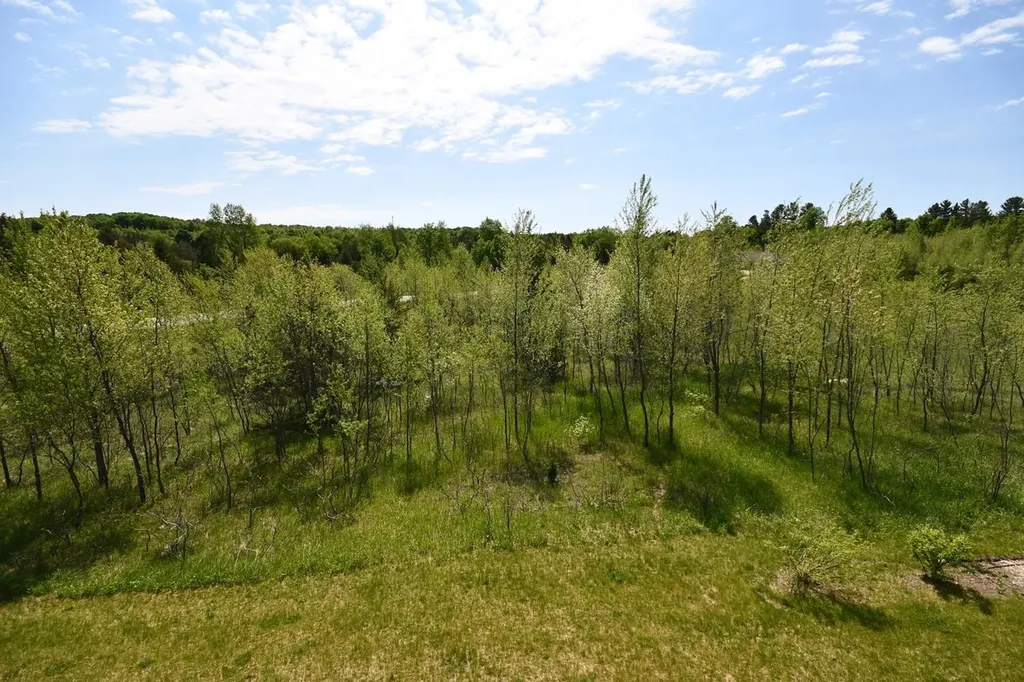 8561 S Olivia Drive Kasson Township MI 49664