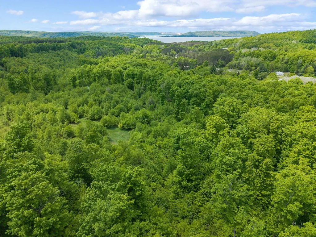 3698 W Glen Lake Highlands Drive Kasson Township MI 49664
