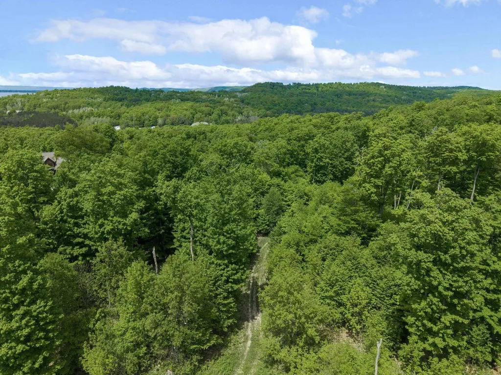 3698 W Glen Lake Highlands Drive Kasson Township MI 49664