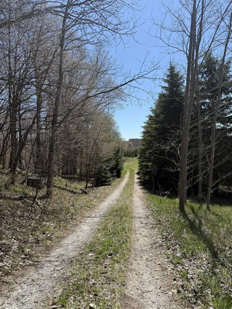 9779 E Johnson Road Leelanau Township MI 49670