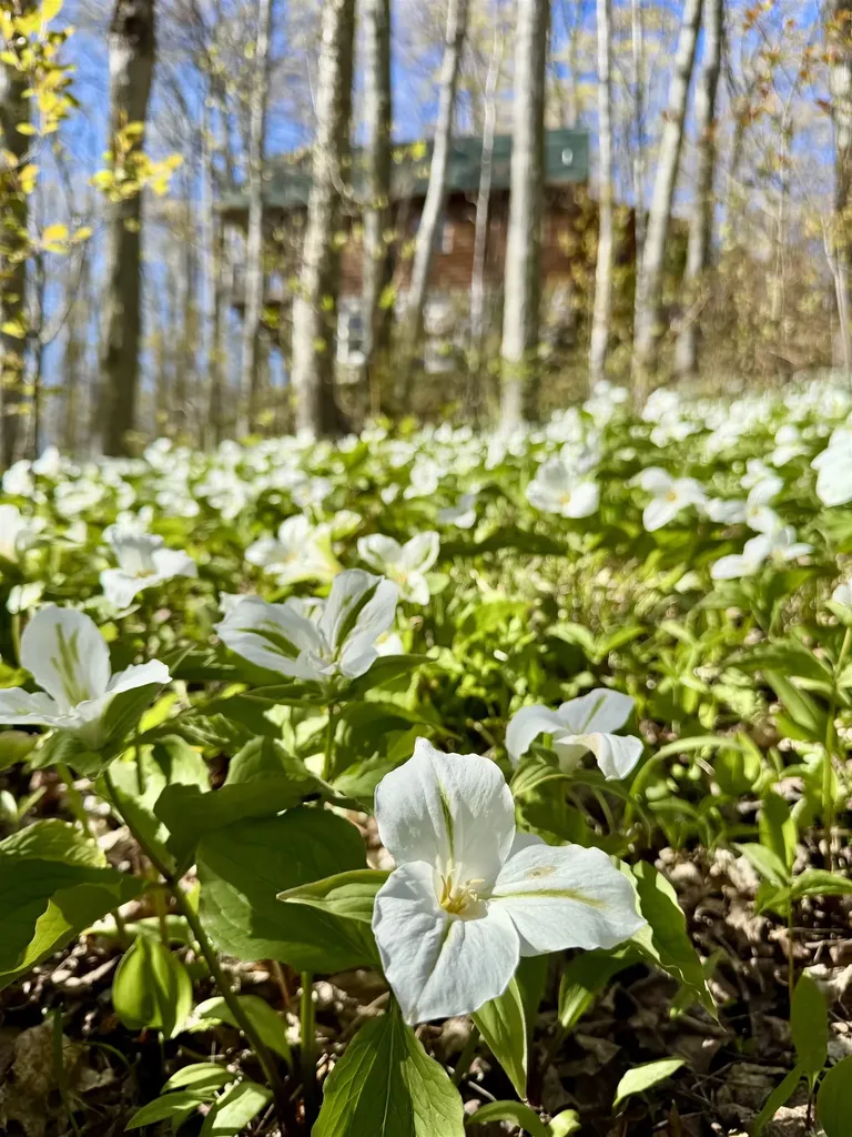 9779 E Johnson Road Leelanau Township MI 49670