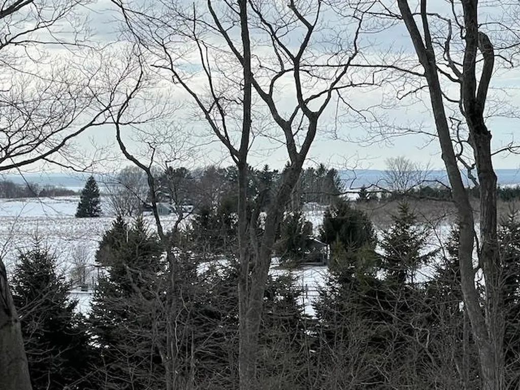 9779 E Johnson Road Leelanau Township MI 49670