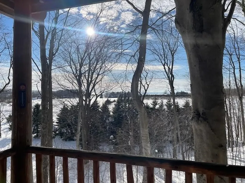 9779 E Johnson Road Leelanau Township MI 49670