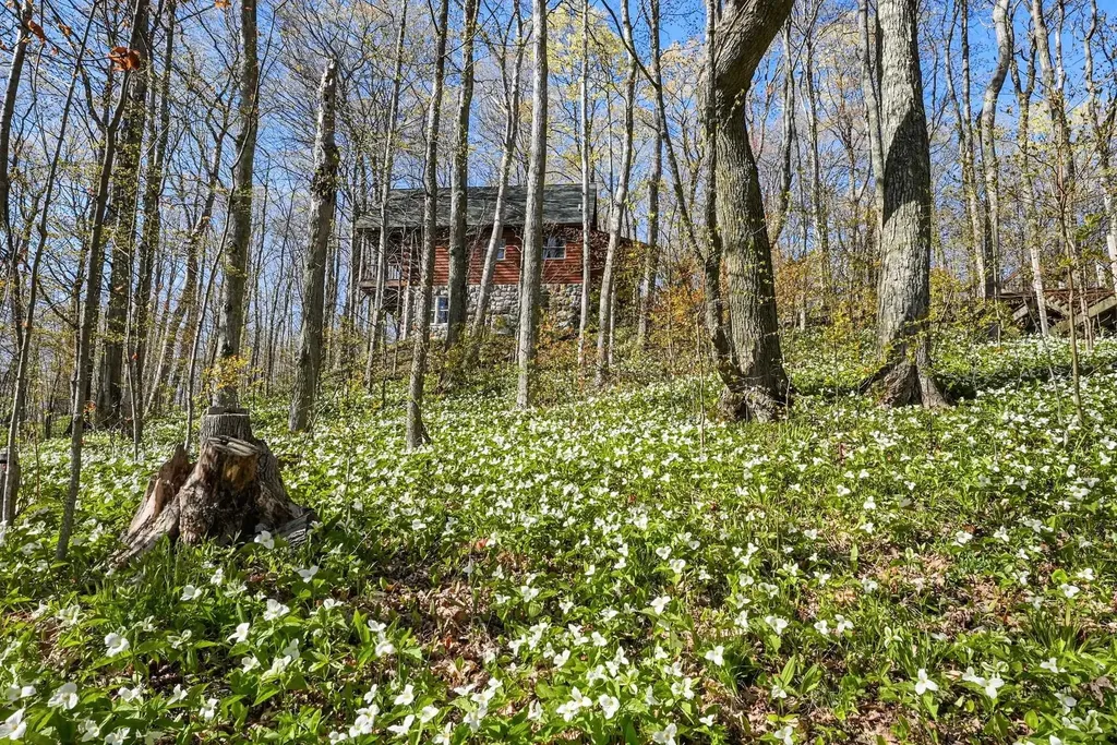 9779 E Johnson Road Leelanau Township MI 49670