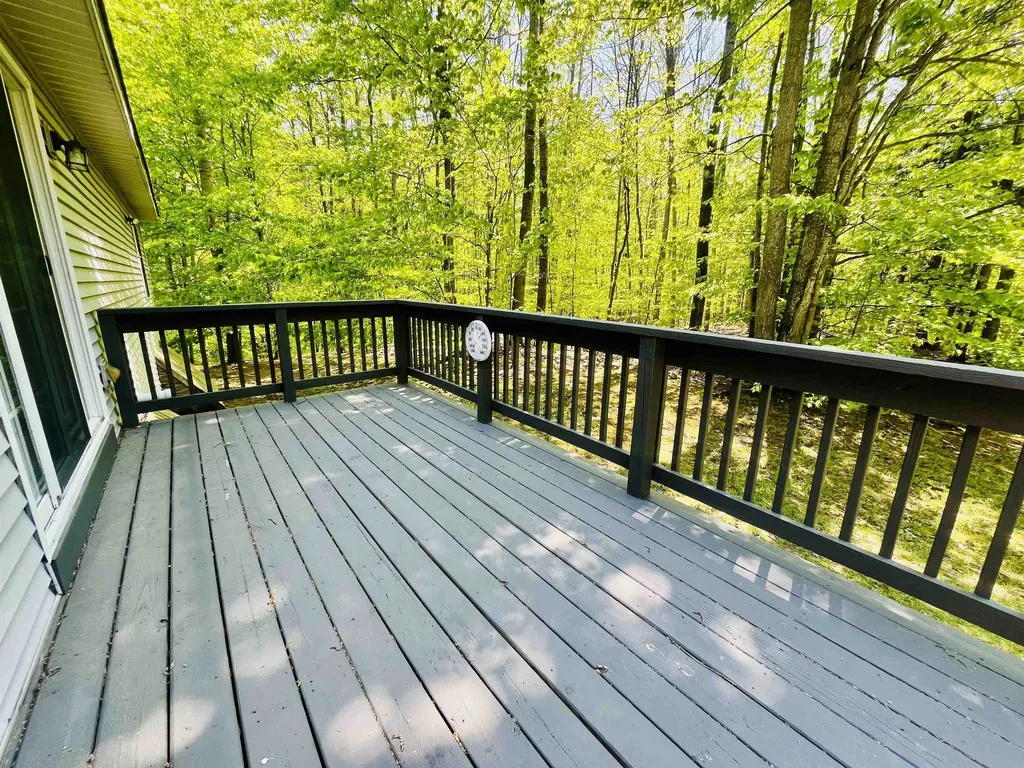 8300 Easy Street Almira Township MI 49650