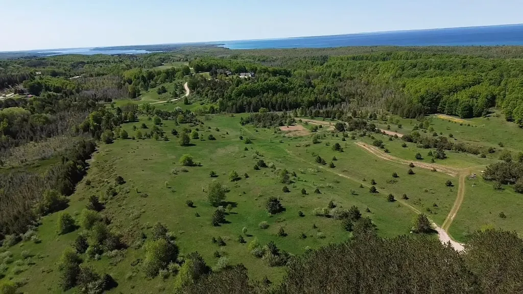 00 Dunmore Lane Banks Township MI 49729