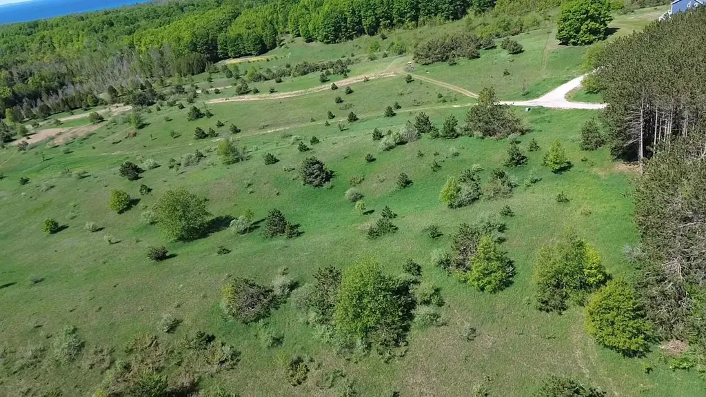 00 Dunmore Lane Banks Township MI 49729