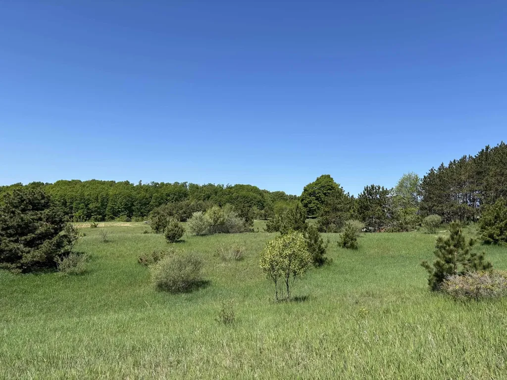 00 Dunmore Lane Banks Township MI 49729