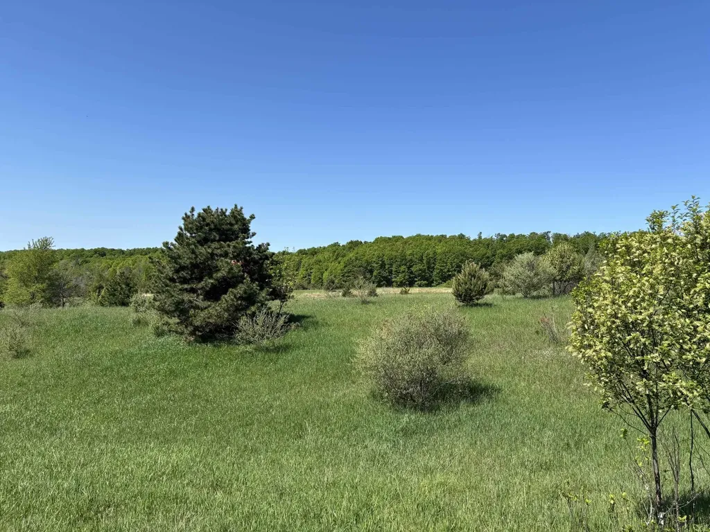 00 Dunmore Lane Banks Township MI 49729