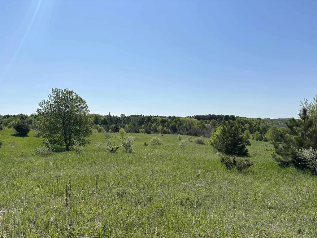 00 Dunmore Lane Banks Township MI 49729