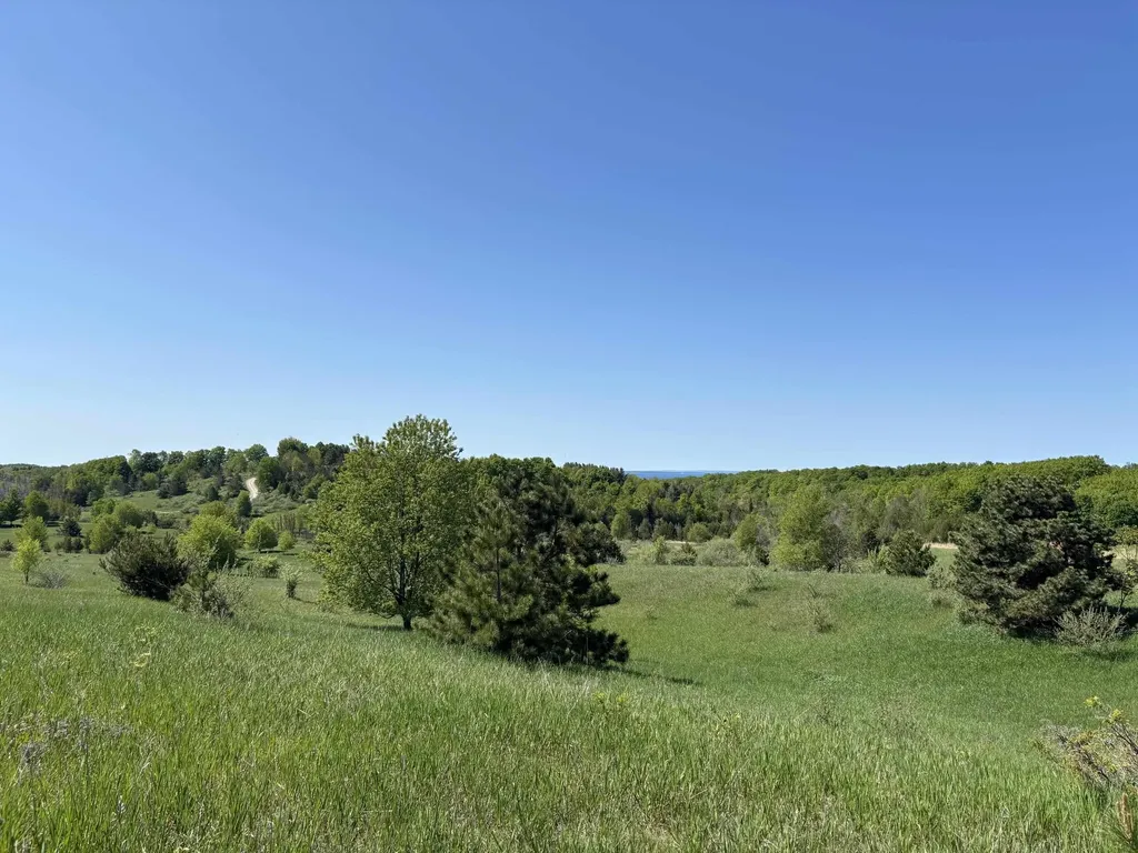 00 Dunmore Lane Banks Township MI 49729