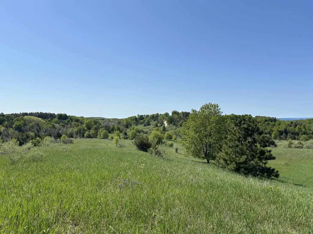 00 Dunmore Lane Banks Township MI 49729
