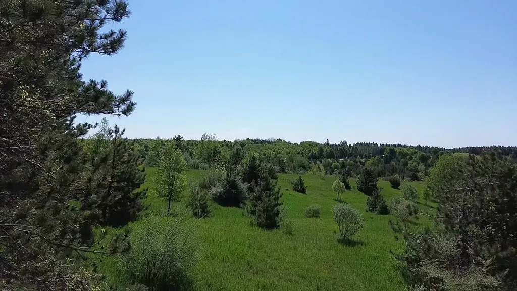 00 Dunmore Lane Banks Township MI 49729