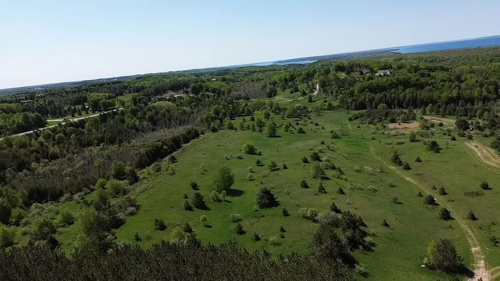 00 Dunmore Lane Banks Township MI 49729