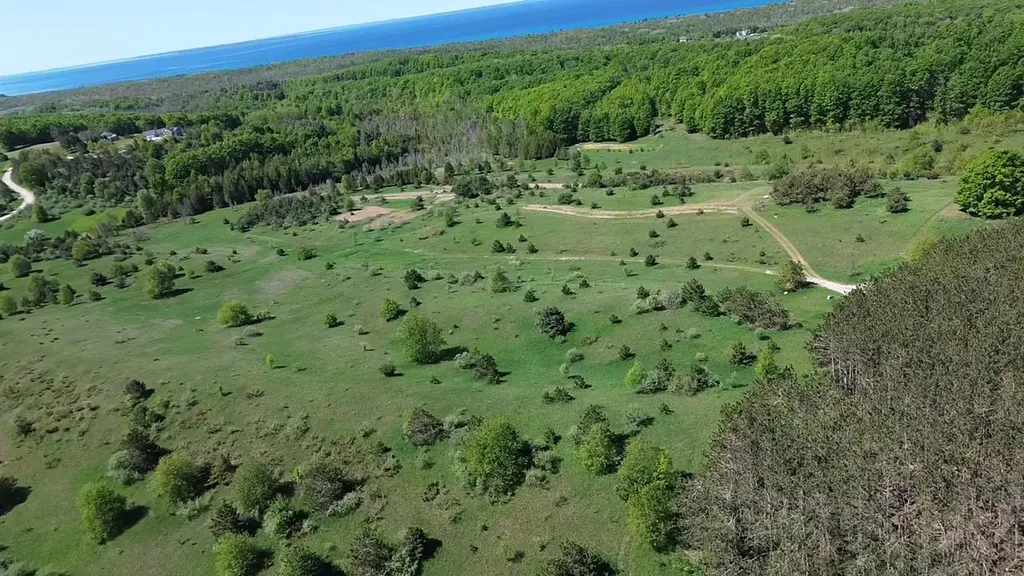 00 Dunmore Lane Banks Township MI 49729