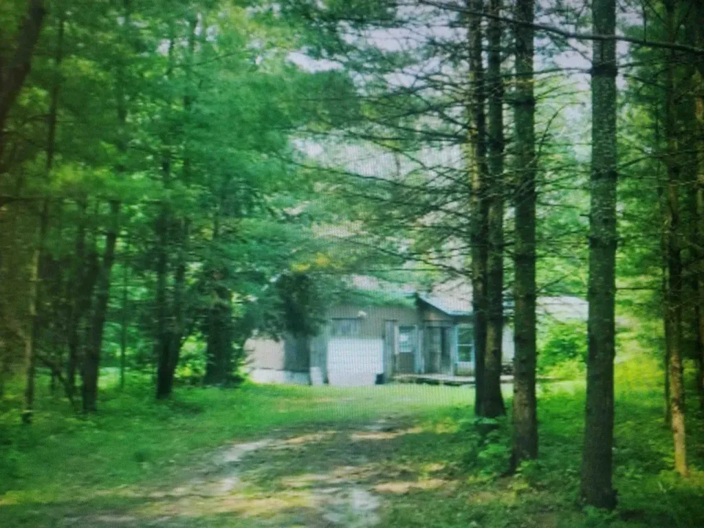 4684 S One Road Slagle Township MI 49638