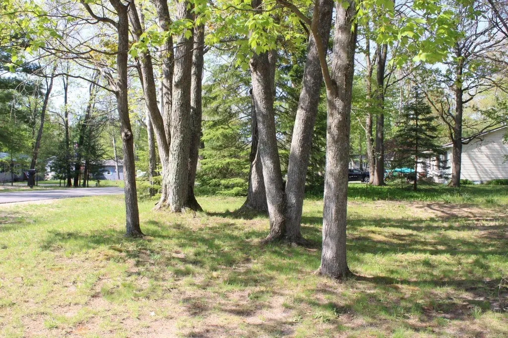 817 E Dresden Street Kalkaska Township MI 49646