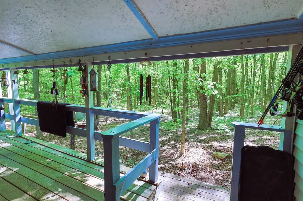 13517 Viaduct Road Cleon Township MI 49625