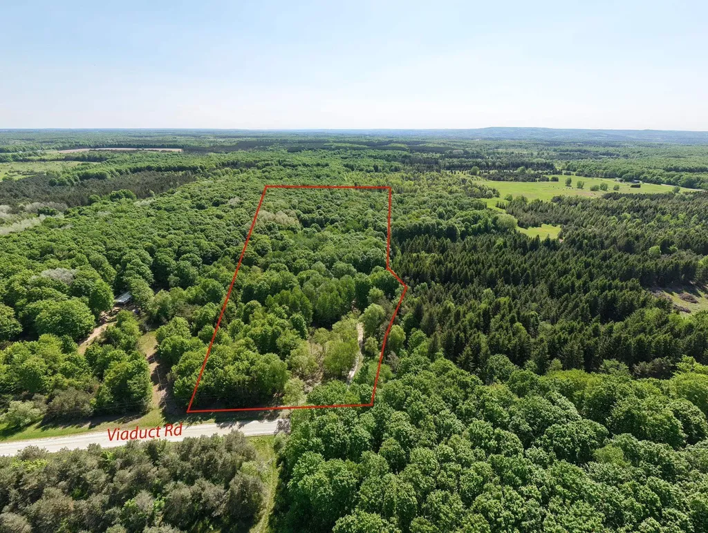 13517 Viaduct Road Cleon Township MI 49625