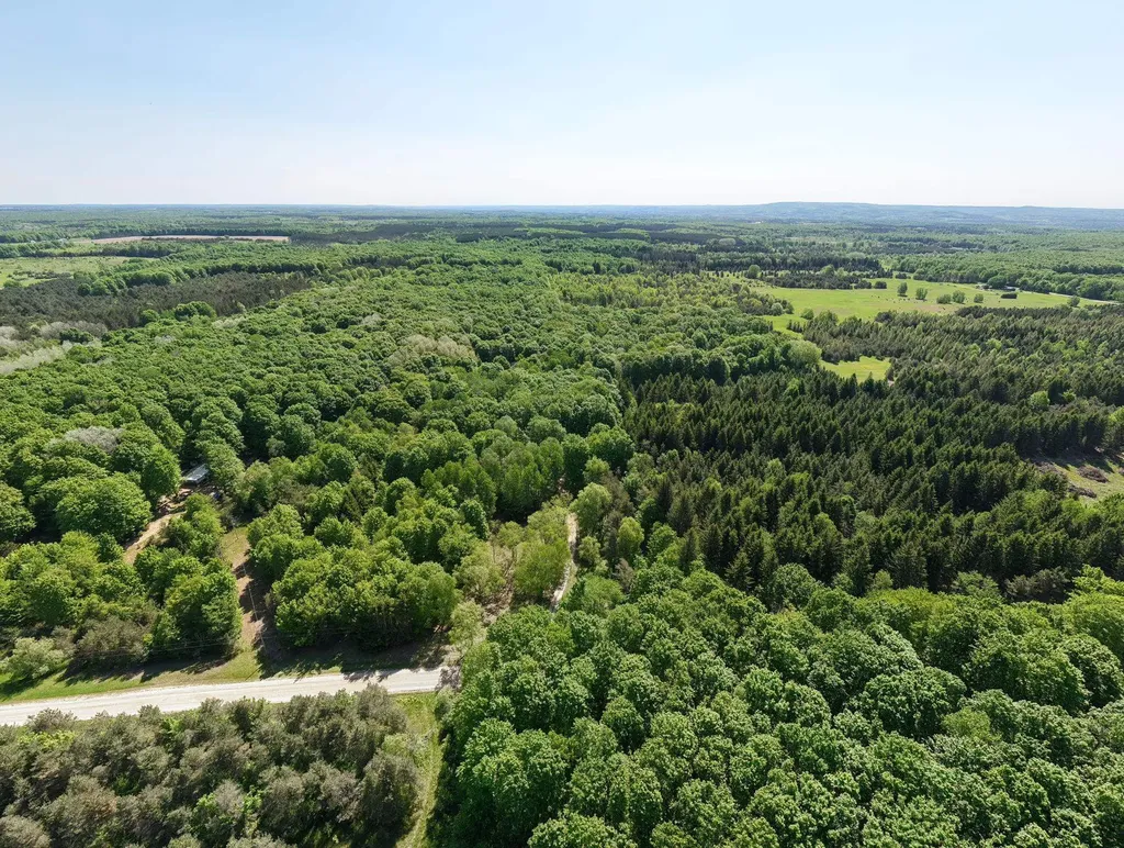 13517 Viaduct Road Cleon Township MI 49625