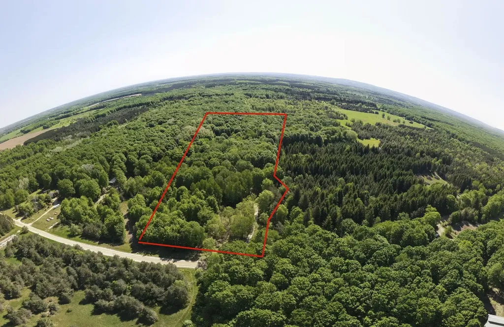 13517 Viaduct Road Cleon Township MI 49625