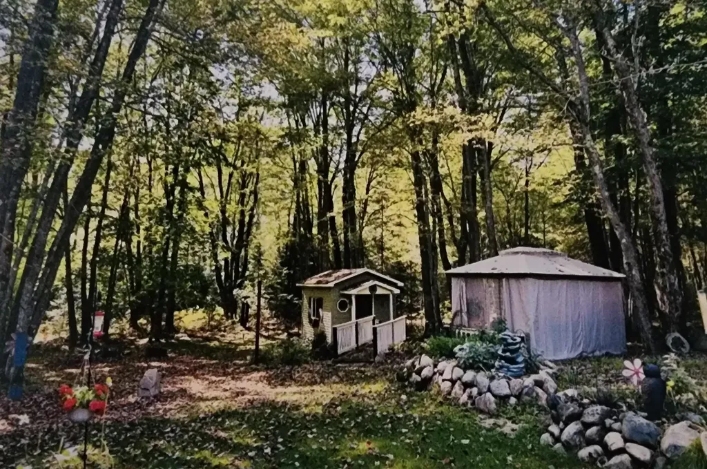 3523 Mt Bliss Road Jordan Township MI 49727