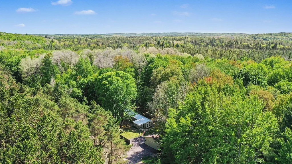3523 Mt Bliss Road Jordan Township MI 49727