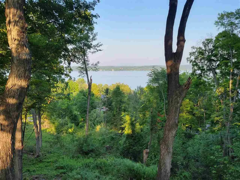 Lot 6 Torch Hills Lane Milton Township MI 49676