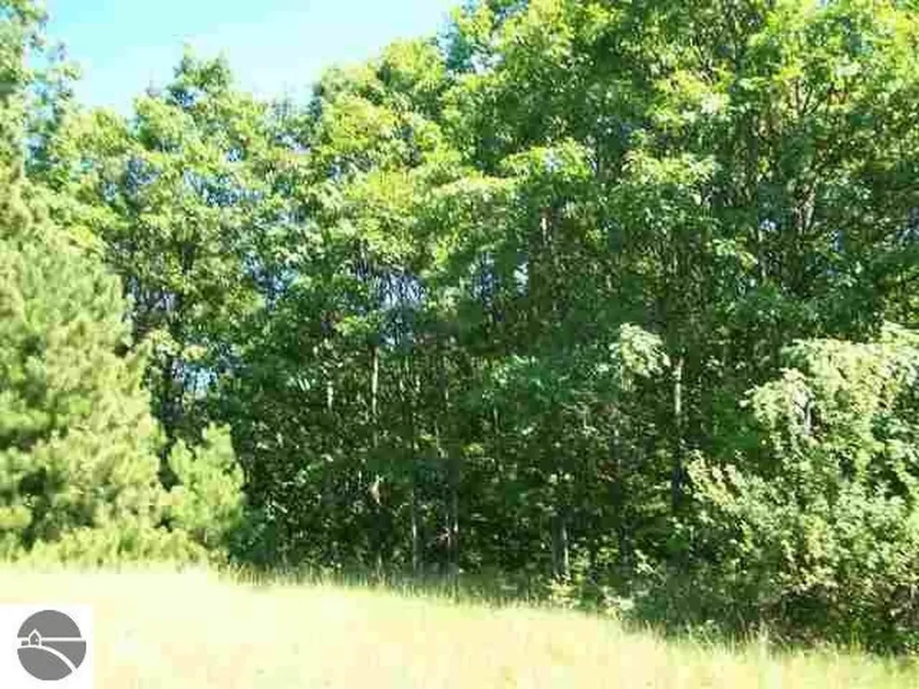 Lot 6 Torch Hills Lane Milton Township MI 49676