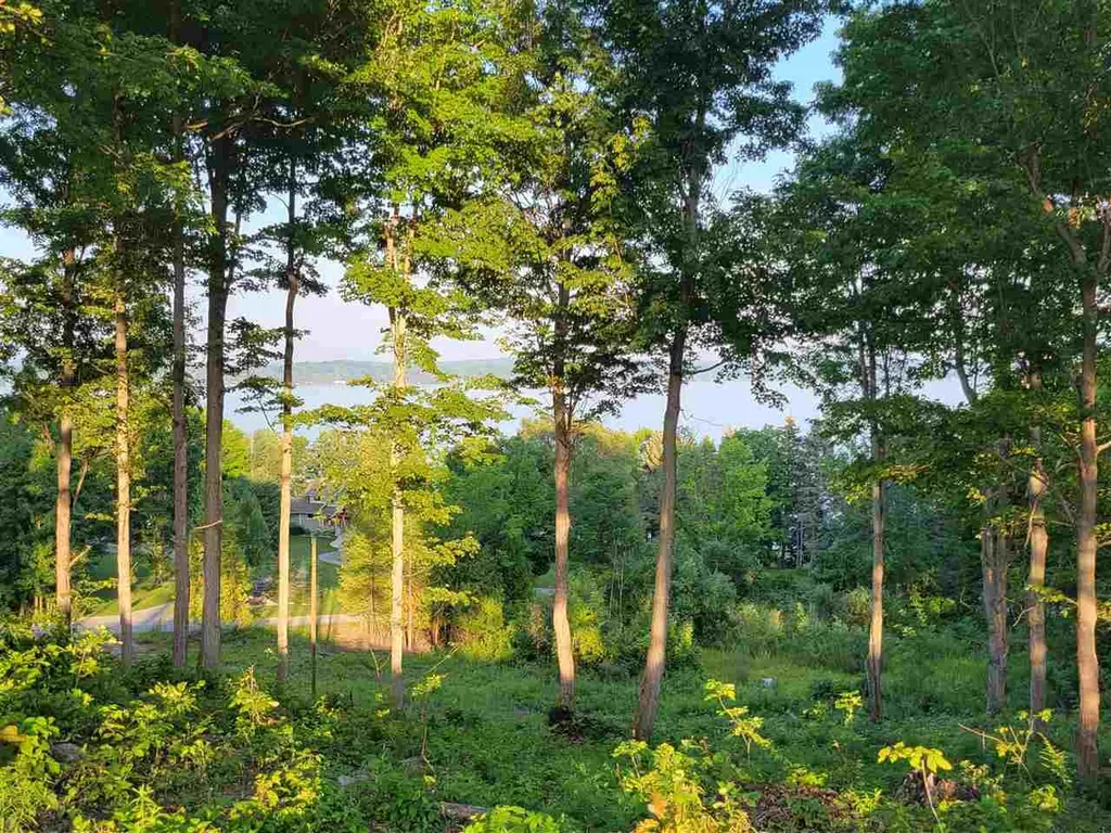 Lot 6 Torch Hills Lane Milton Township MI 49676