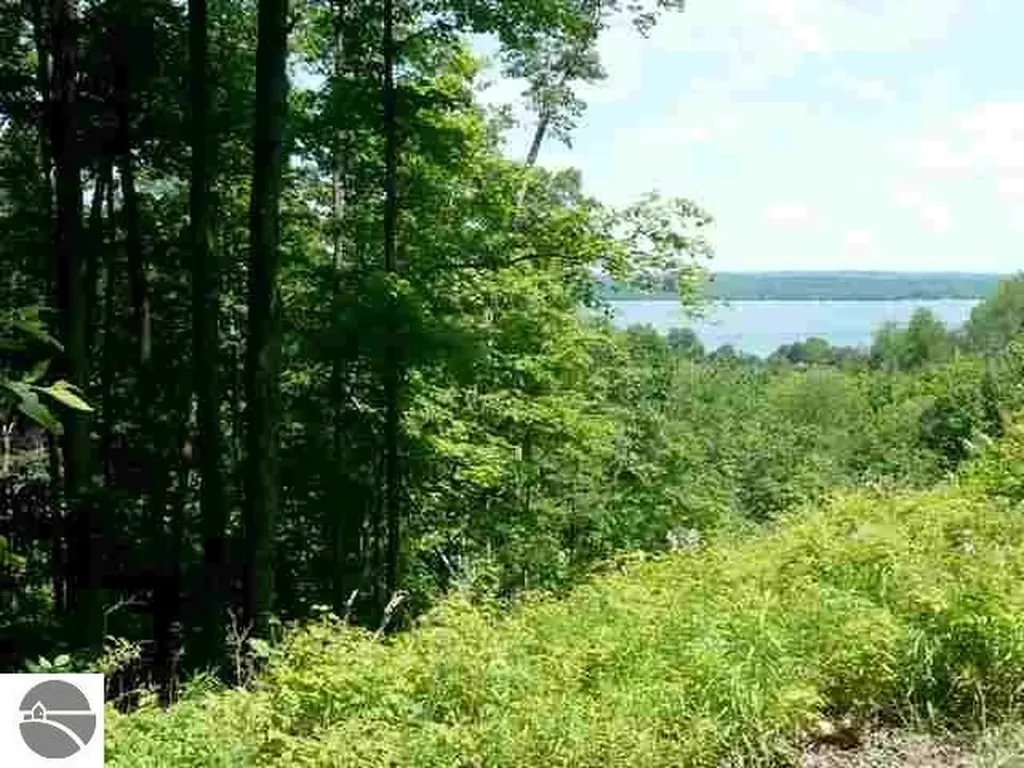 Lot 6 Torch Hills Lane Milton Township MI 49676