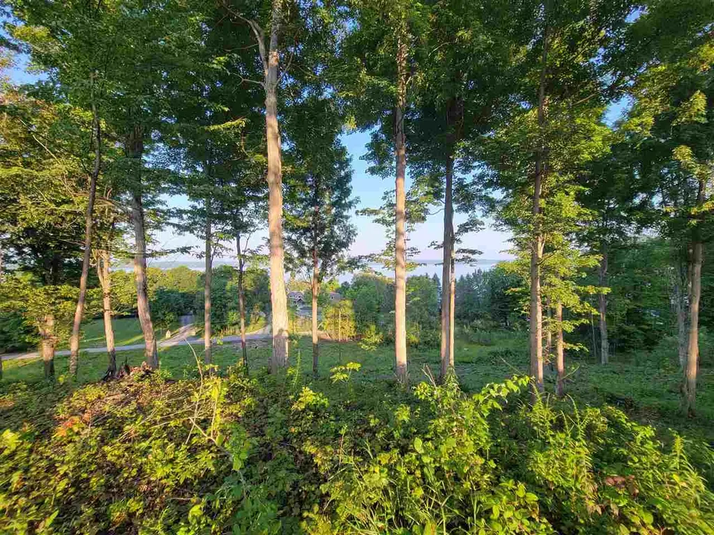 Lot 6 Torch Hills Lane Milton Township MI 49676
