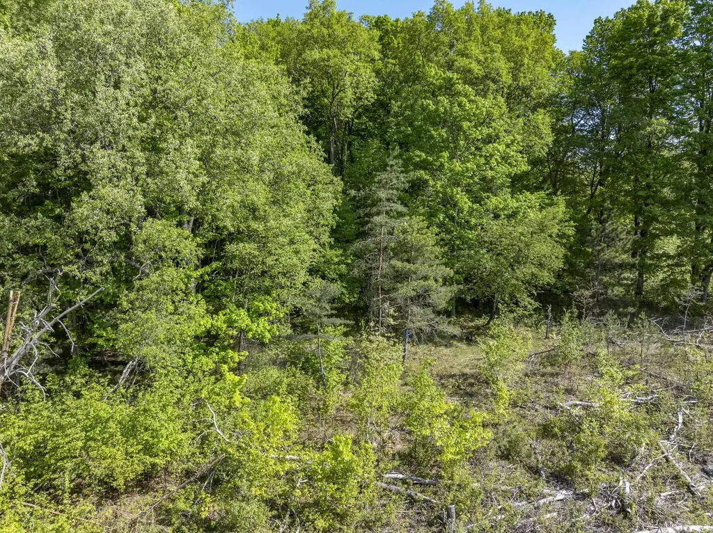 00 M-37 Springville Township MI 49668