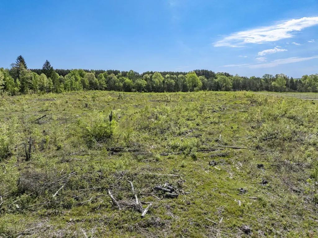 00 M-37 Springville Township MI 49668